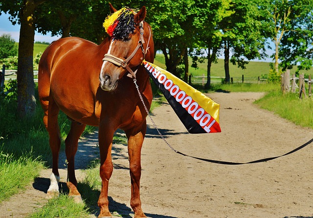 S现实困境 S现实困境