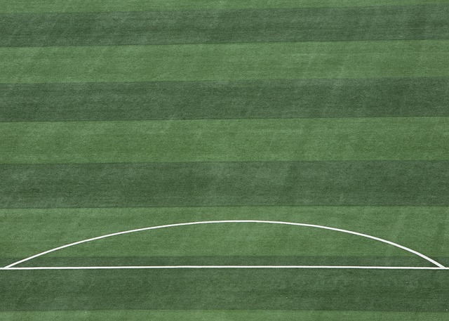 高额的薪水 高额的薪水