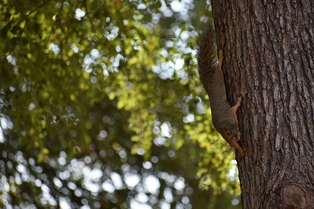 强强联合的 强强联合的