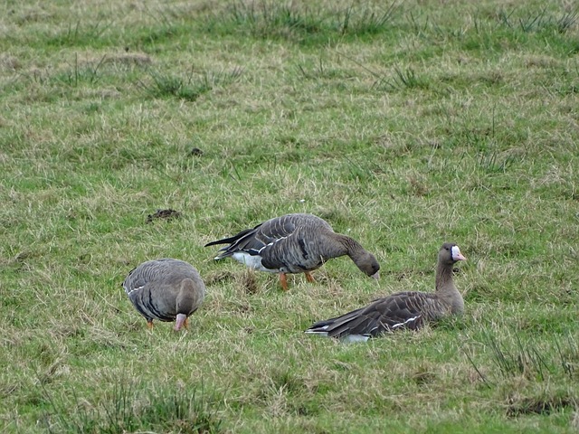 上更进一步 上更进一步