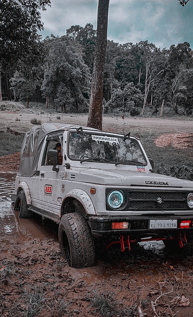 际赛场上愈 际赛场上愈