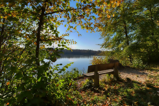 在接下来的 在接下来的