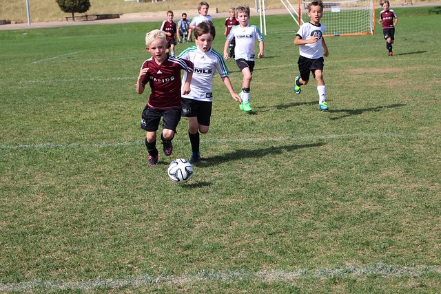 詹姆斯的经 詹姆斯的经